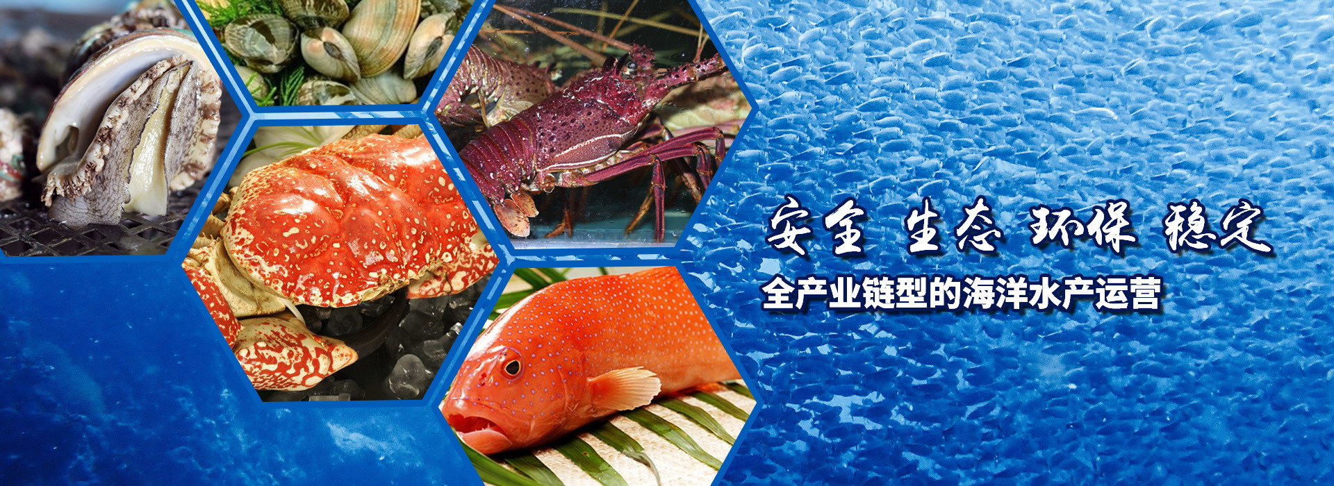 BOB投注