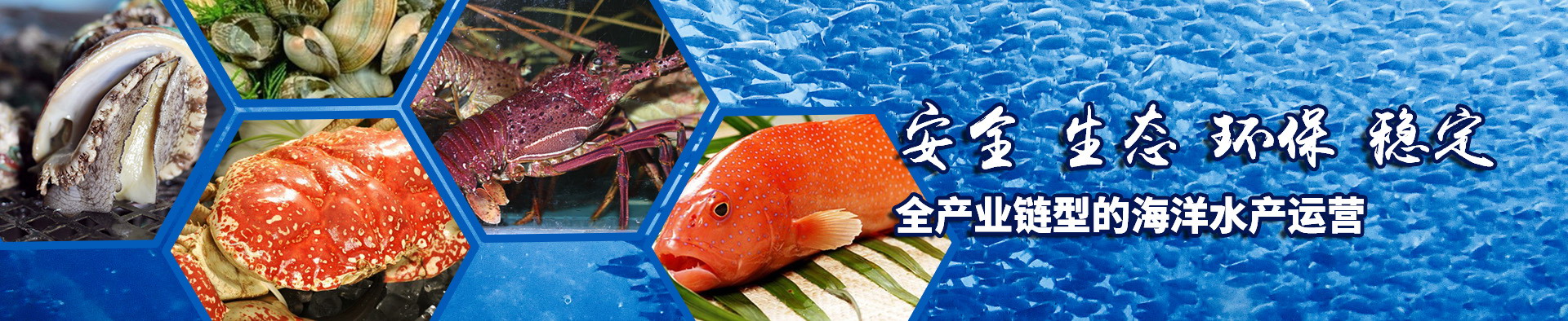 BOB投注
